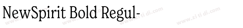 NewSpirit Bold Regul字体转换